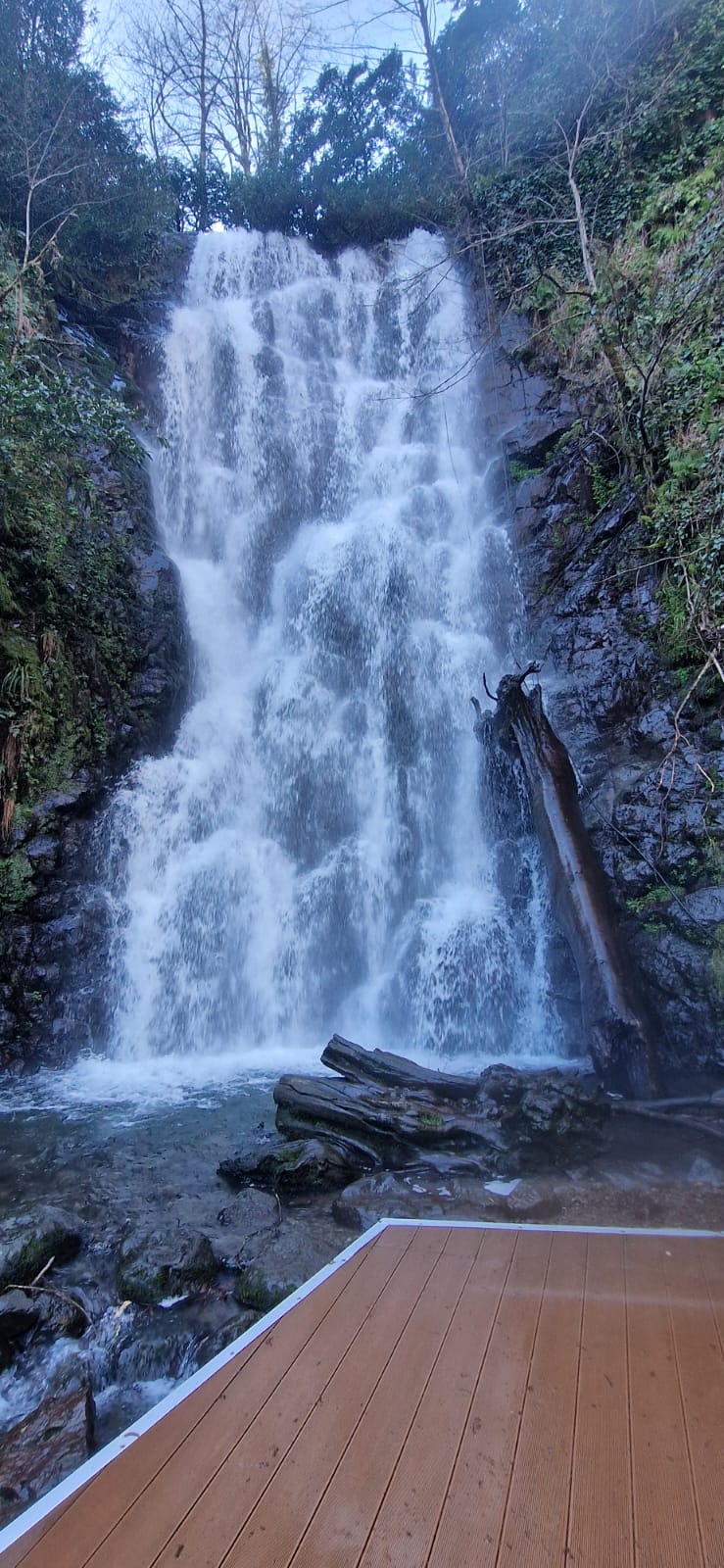 Makhuntseti waterfall